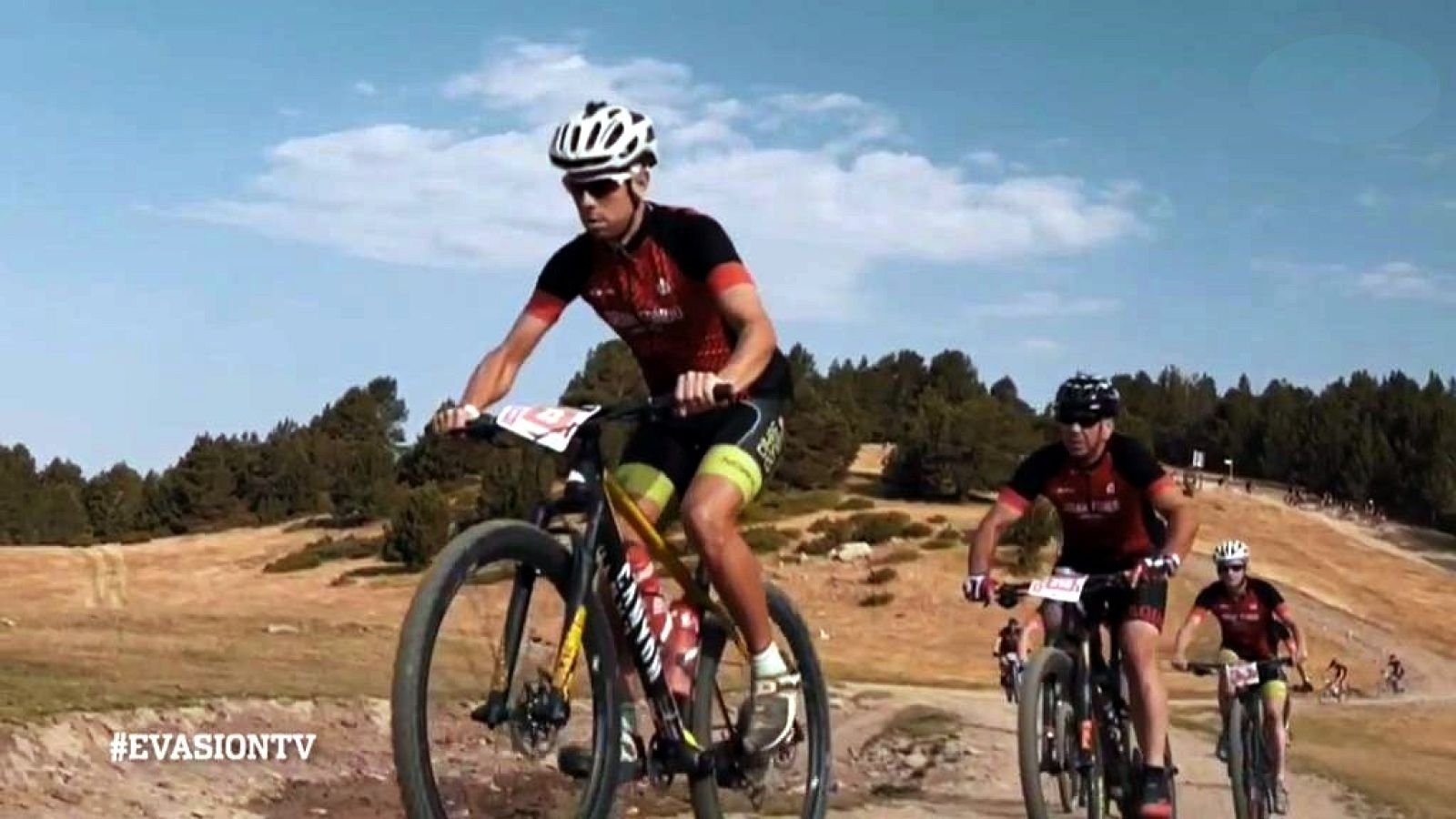 Evasión - Temporada 7 - Programa 14 - ver ahora 