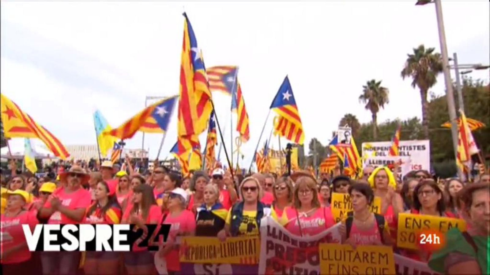 Vespre 24 - 31/07/2019