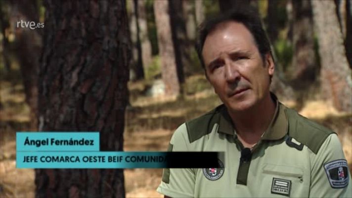 Ángel Fernández: "Tenemos muchos bosques enfermos"