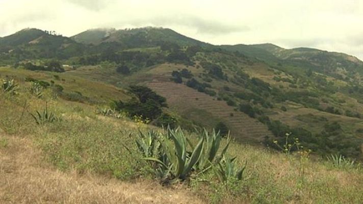 Telecanarias - El tiempo en Canarias - 02/08/2019