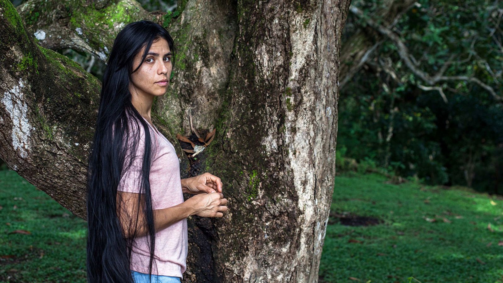 'El despertar de las hormigas'