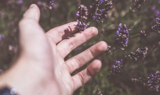 Aquí la Tierra - El repelente infalible para los mosquitos