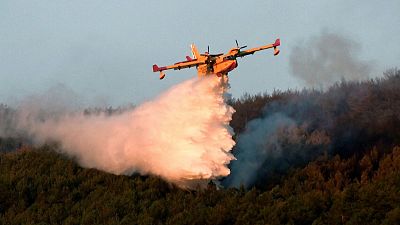 Estabilizados los incendios de La Granja y Miraflores