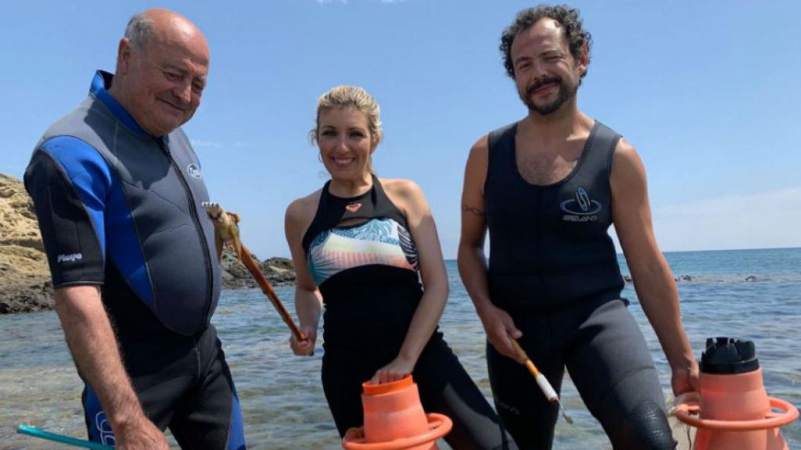 Ortigas de mar en Menorca