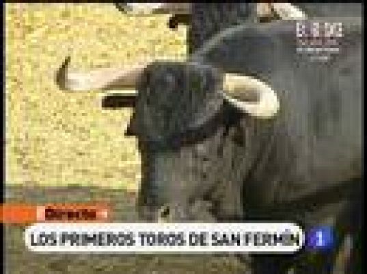 Los primeros toros de San Fermín
