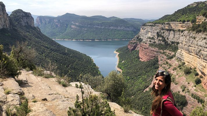 ¡Qué animal! - Vídeo presentación cuarta temporada