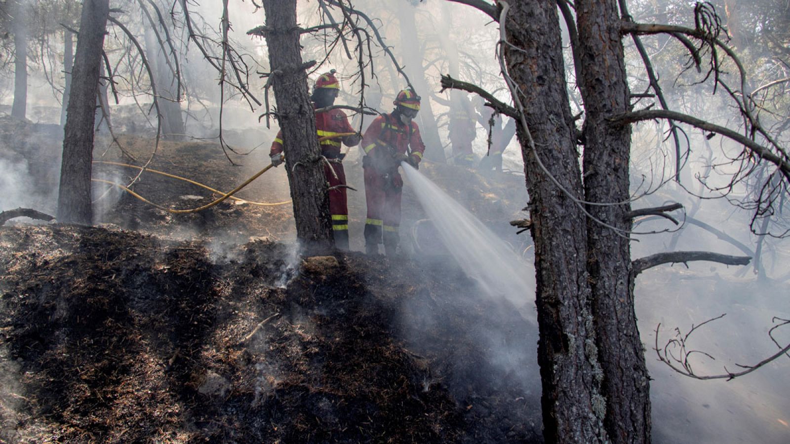 El descenso de las temperaturas juega a favor de los equipos que trabajan para controlar el incendio que comenzó el domingo en la Granja de San Ildefonso, en Segovia. El otro fuego, el de Miraflores, en Madrid, está ya controlado. Entre los dos, han
