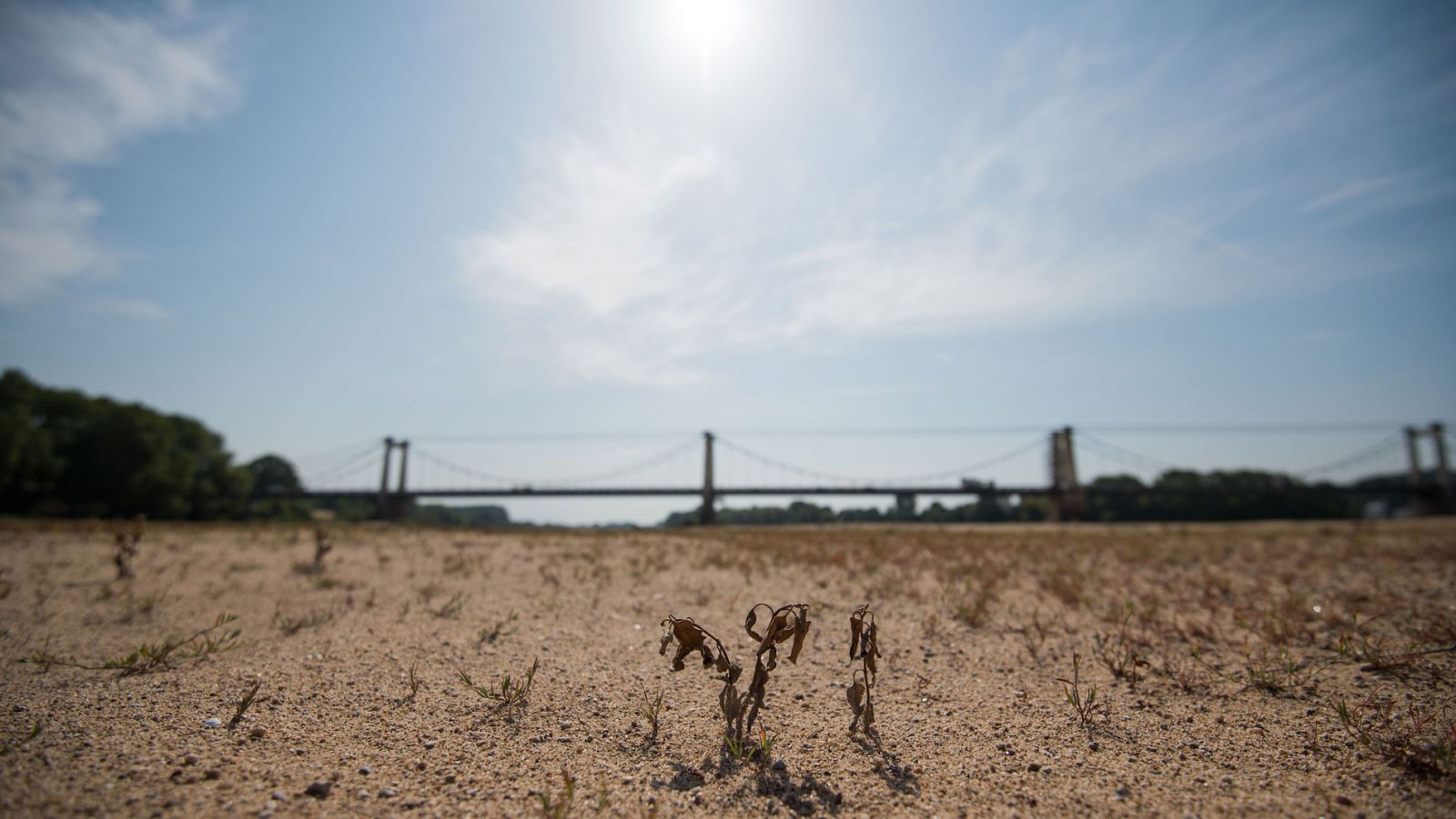 Una cuarta parte de la población mundial vive en zonas de estrés hídrico, donde hay menos agua de la que se demanda
