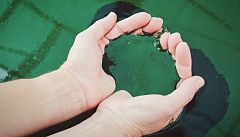 Aquí la tierra - Así se fabrica la espirulina
