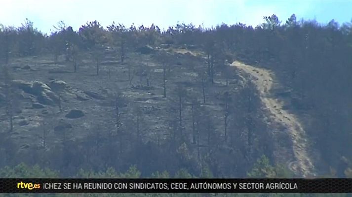 España en 24h - España en 24 horas - 08/08/19