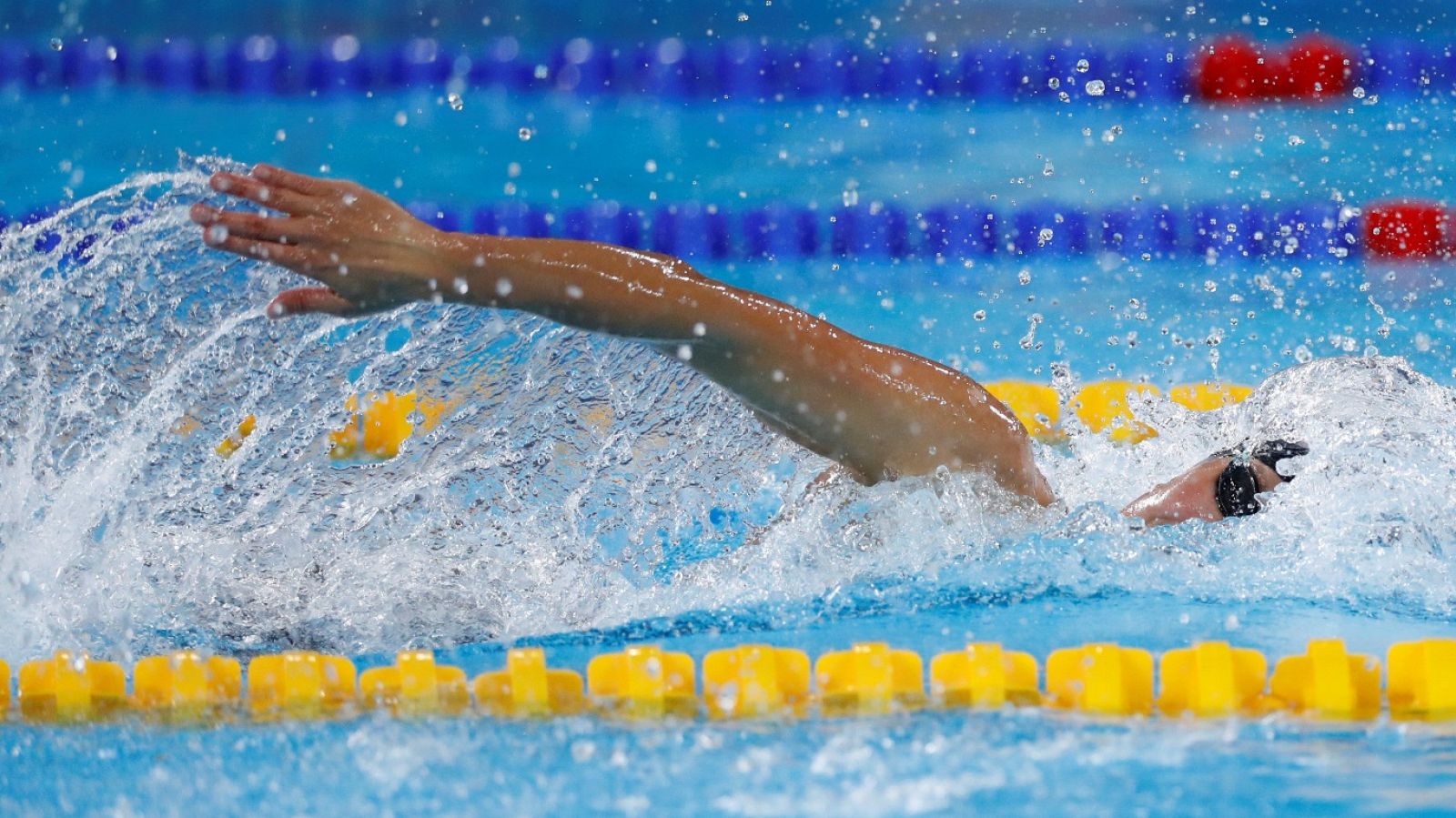 Natación - Copa del Mundo Jinan (China). Sesión vespertina - ver ahora