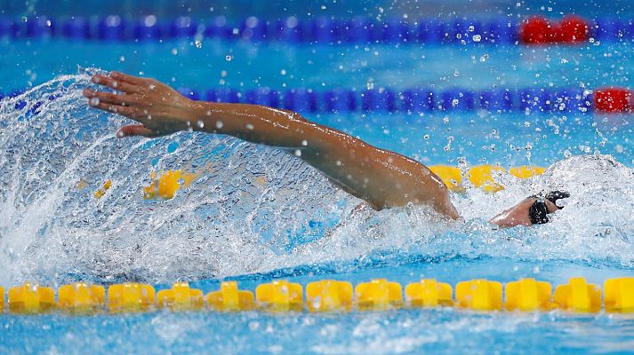 Natación - Copa del Mundo Jinan (China). Sesión vespertina