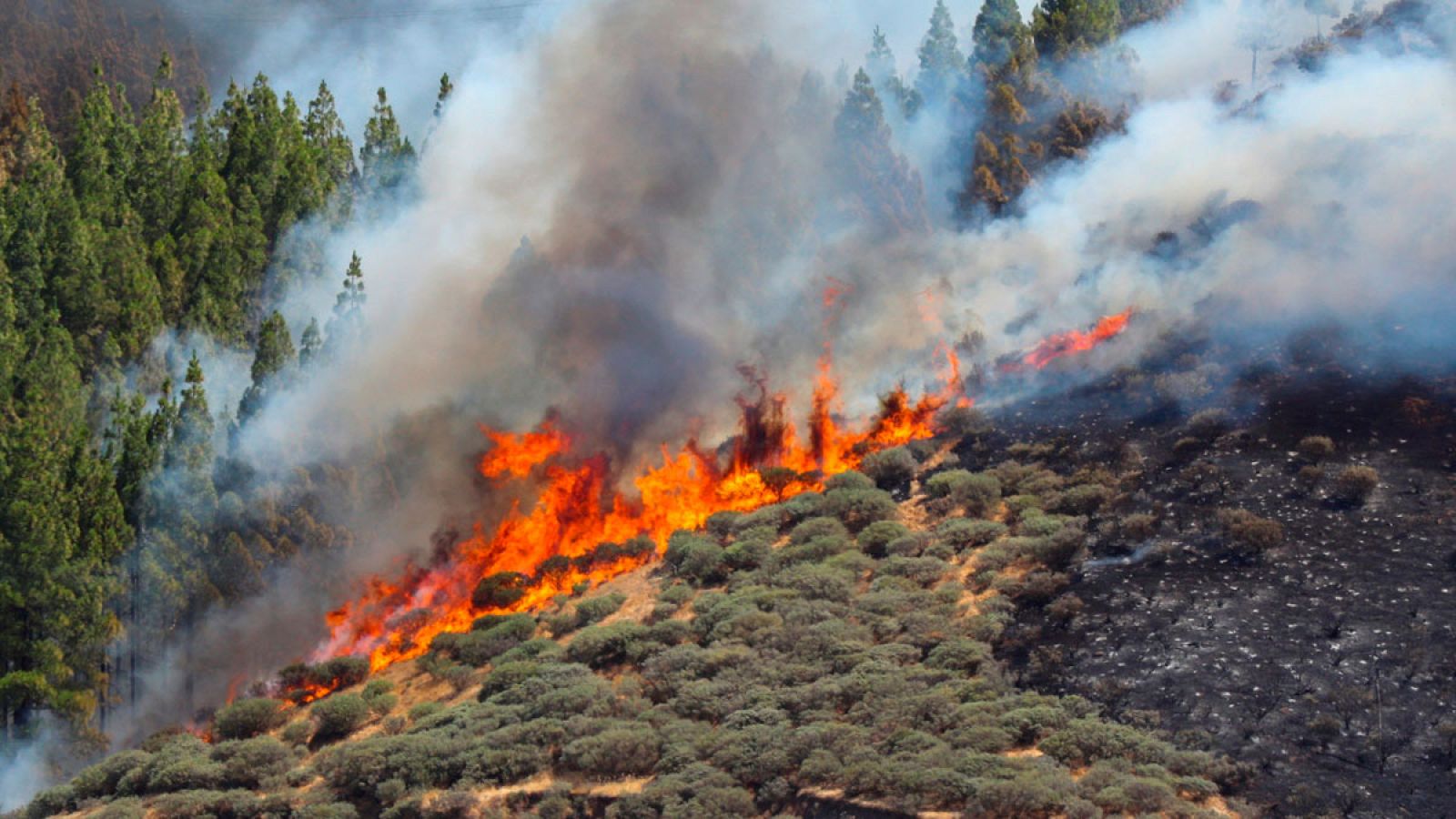 Telediario matinal en cuatro minutos - 11/08/2019