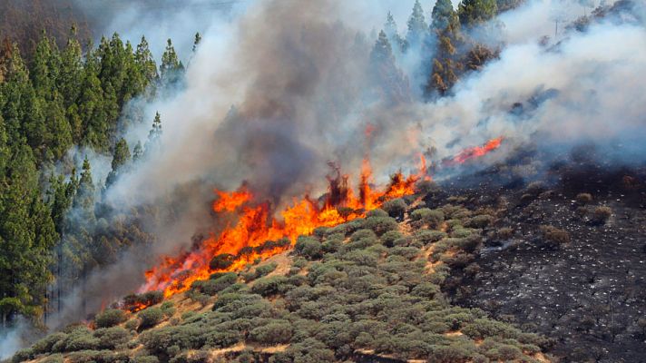 Telediario matinal en 4'- 11/08/19