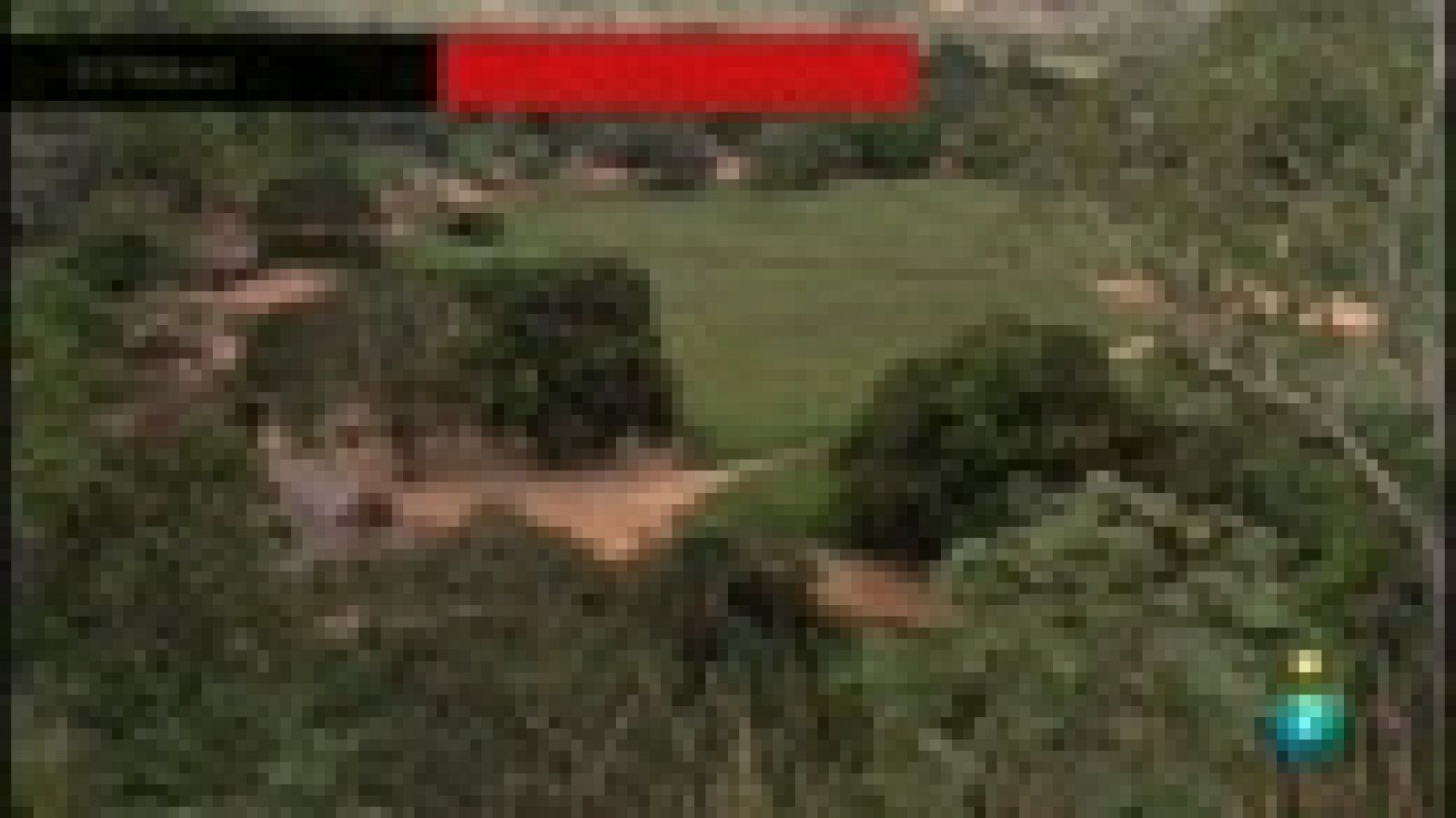 'El canto de la selva'