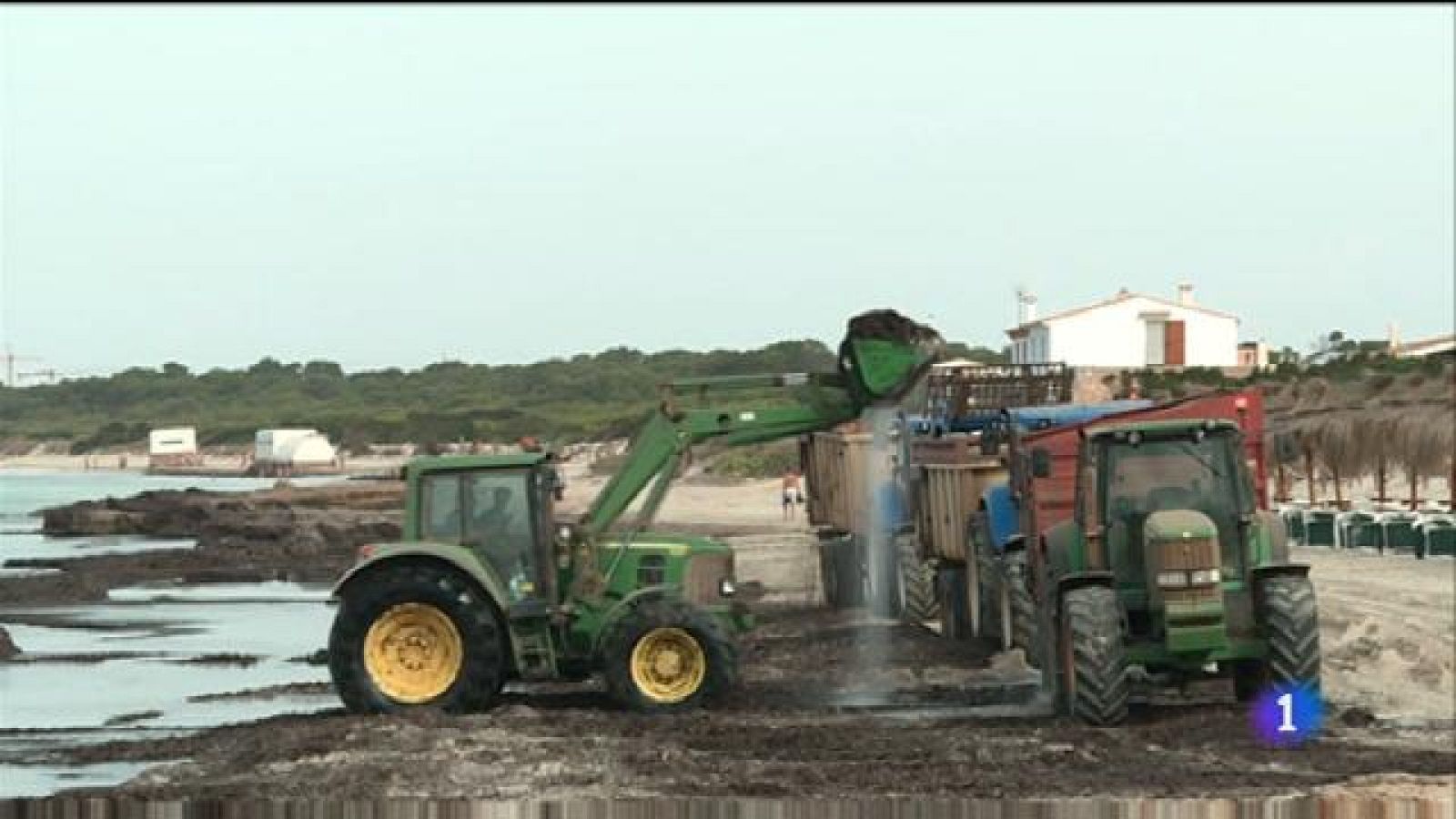 Informatiu Balear - 12/08/19