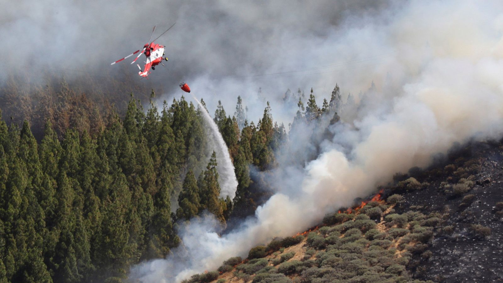 Telediario 1 en cuatro minutos - 12/08/19 - Ver ahora