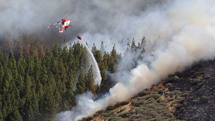 Telediario 1 - Telediario 1 en 4' - 12/08/19