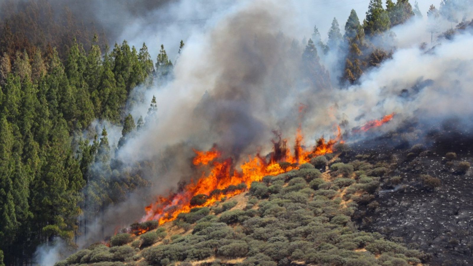 España en 24 horas - 12/08/19 - ver ahora