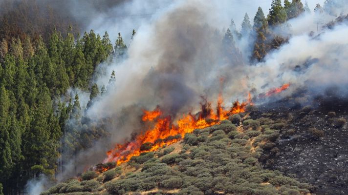 España en 24h - España en 24 horas - 12/08/19