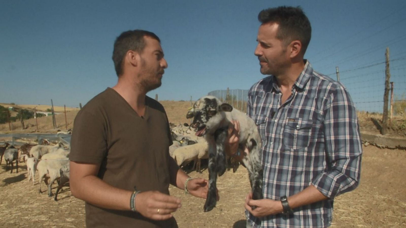 Aquí la tierra - 12/08/19 - ver ahora