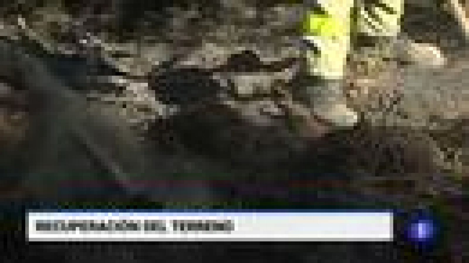 Castilla y León en 1' - 13/08/19