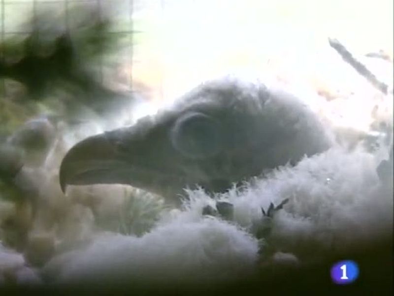 Noticias Aragón. Informativo Territorial de Aragón (02/07/09)