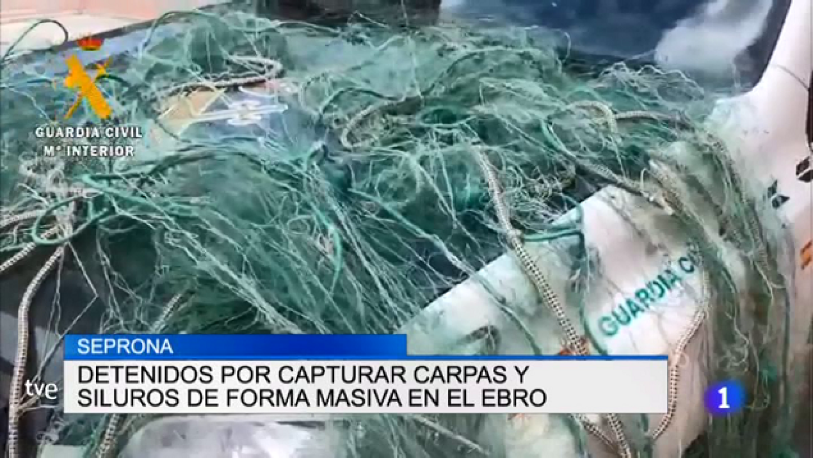 Telerioja en 2' - 13/08/19