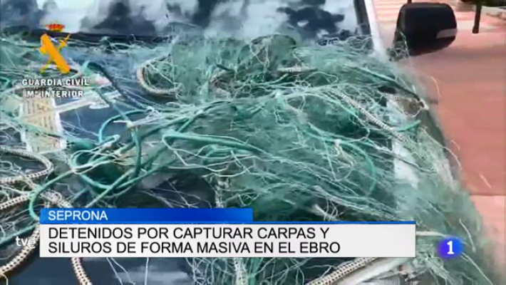 Informativo Telerioja - Informativo Telerioja 2 - 13/08/19