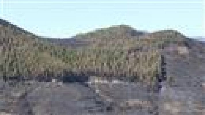 Telecanarias - Canarias en 2' - 14/08/2019