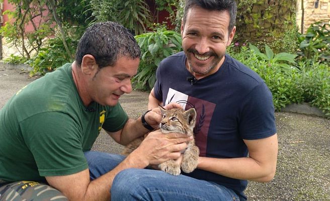 Aquí la Tierra - Los felinos, reyes del reino animal
