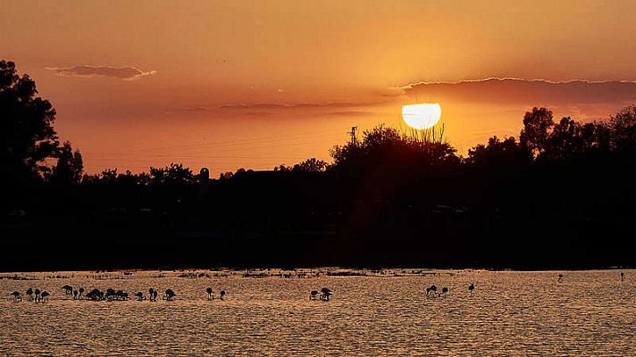 Doñana cumple 50 años con su futuro aún amenazado