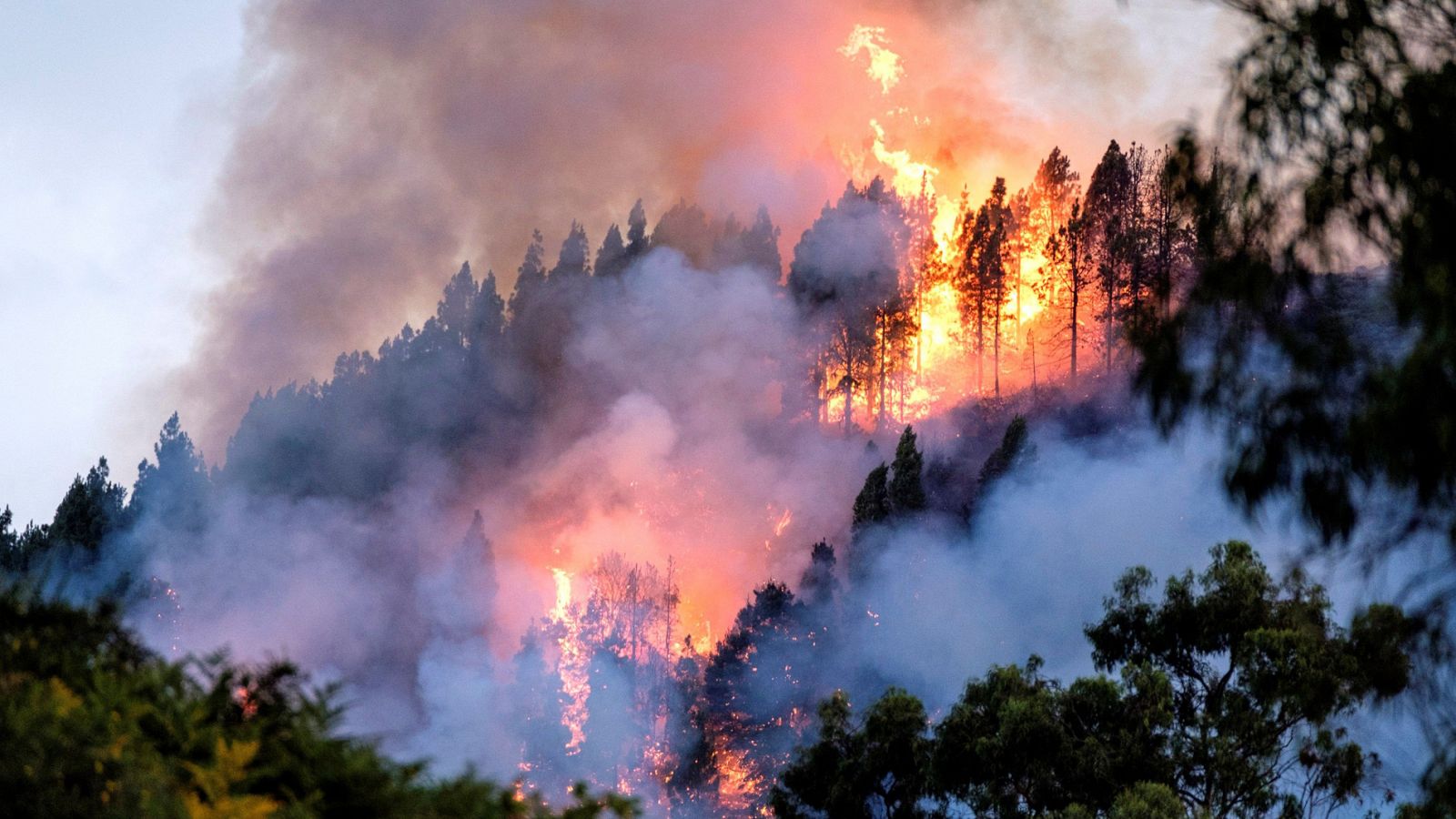 Telediario 1: Se declara un nuevo incendio forestal en Gran Canaria | RTVE Play