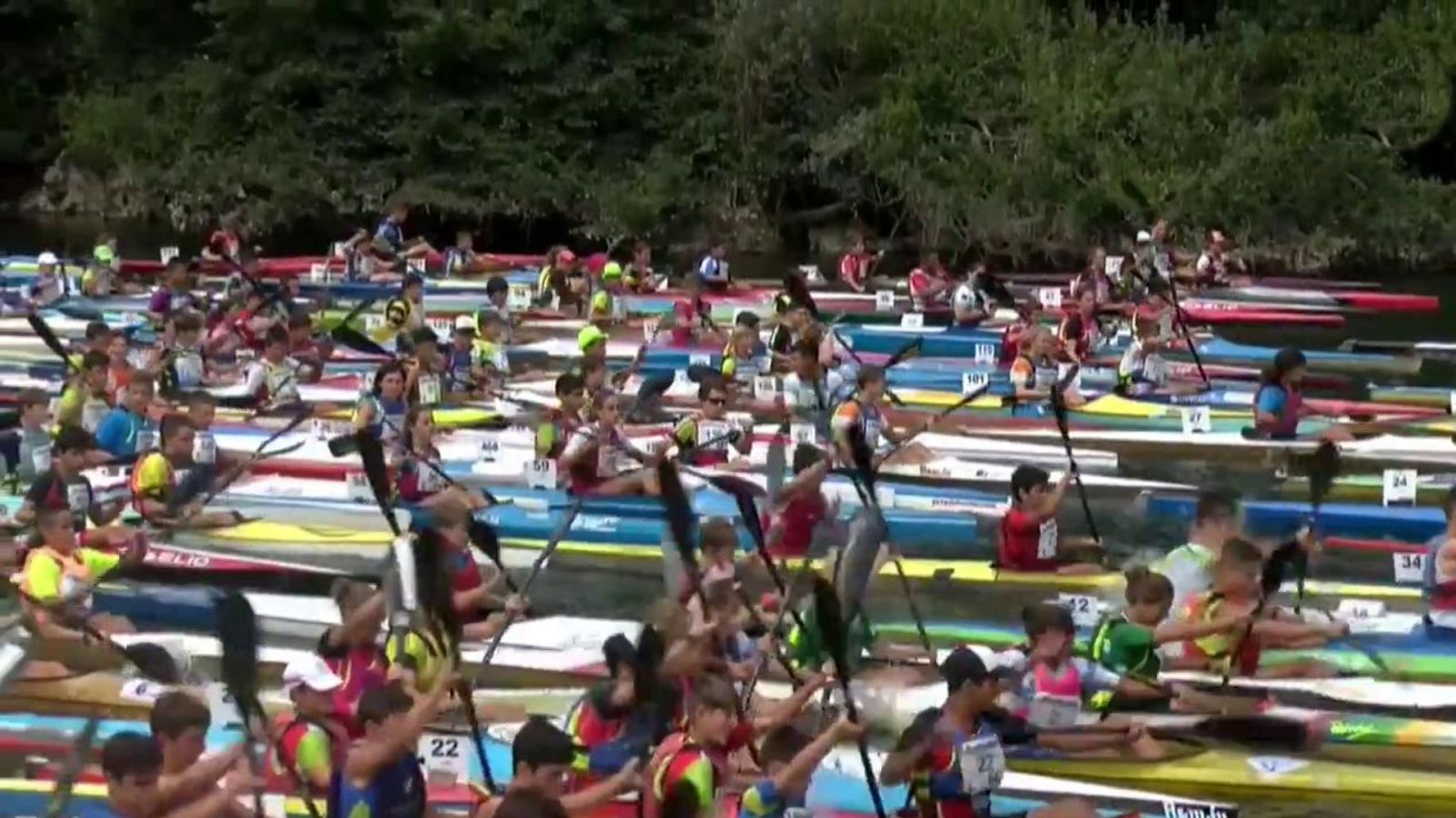 Piragüismo - Mini Sella 2019 - ver ahora