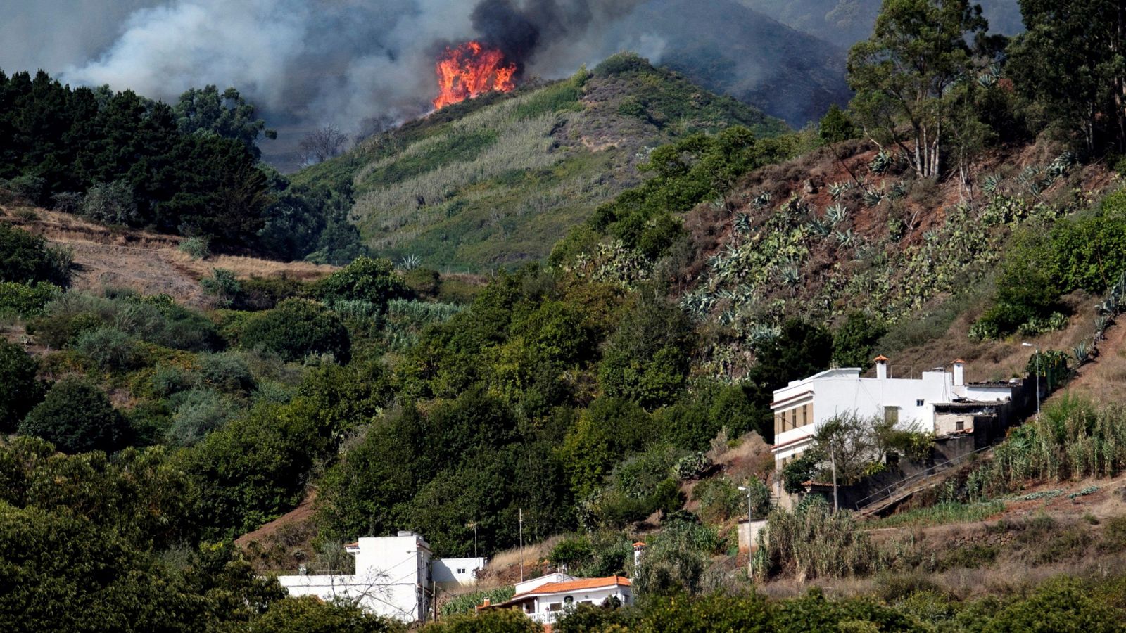 Telediario 1: El incendio forestal de Valleseco, Gran Canaria, está descontrolado y es "muy virulento" | RTVE Play