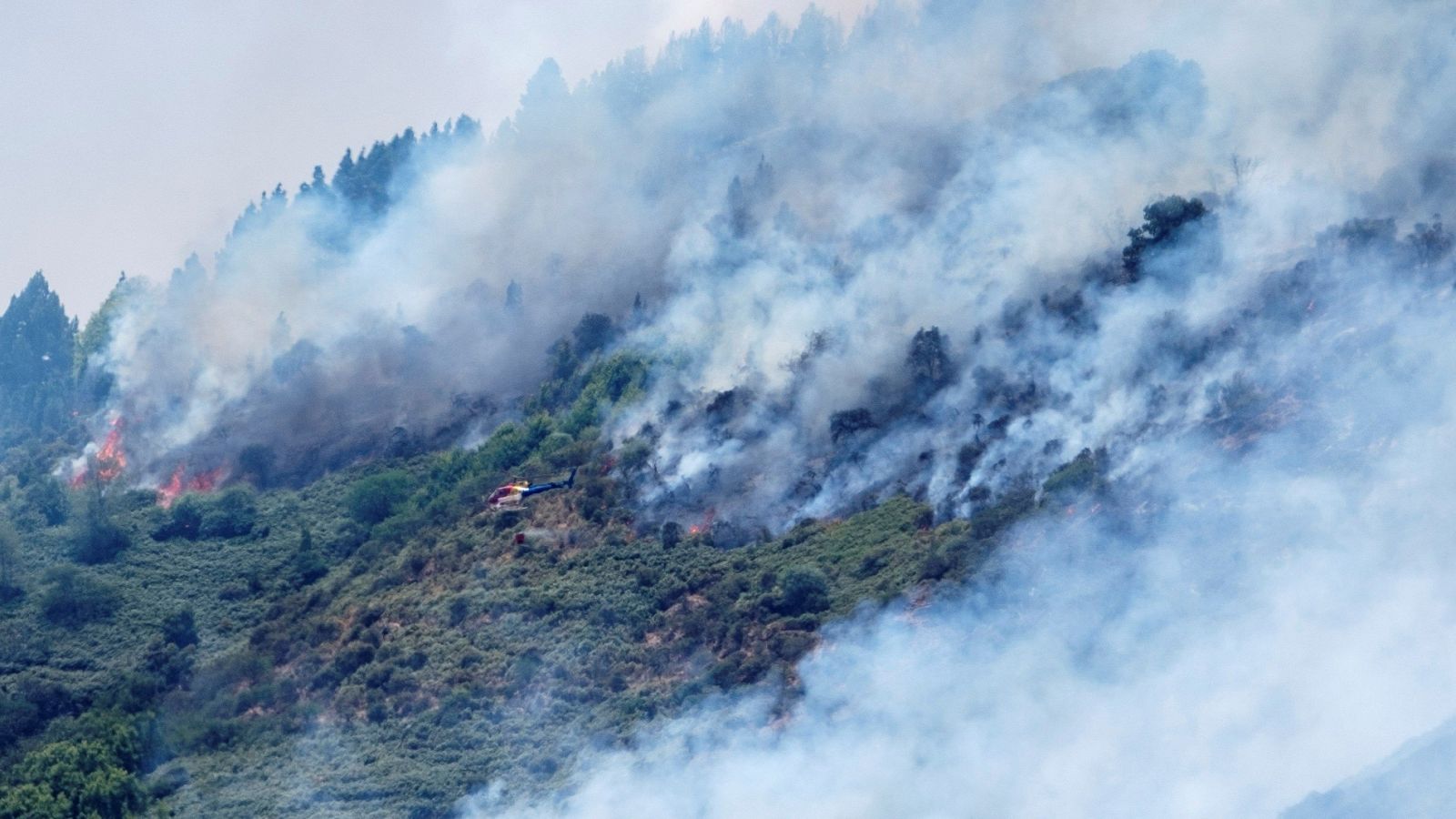 Telediario 1: Gran Canaria vuelve a ser pasto de las llamas | RTVE Play