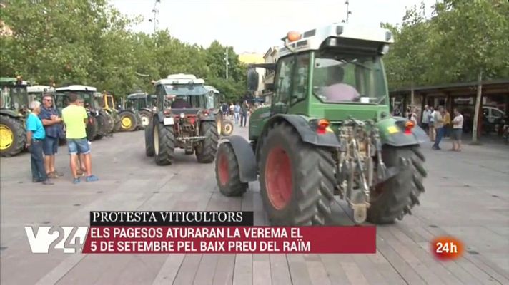 Vespre 24 - Vespre 24 - 16/08/2019