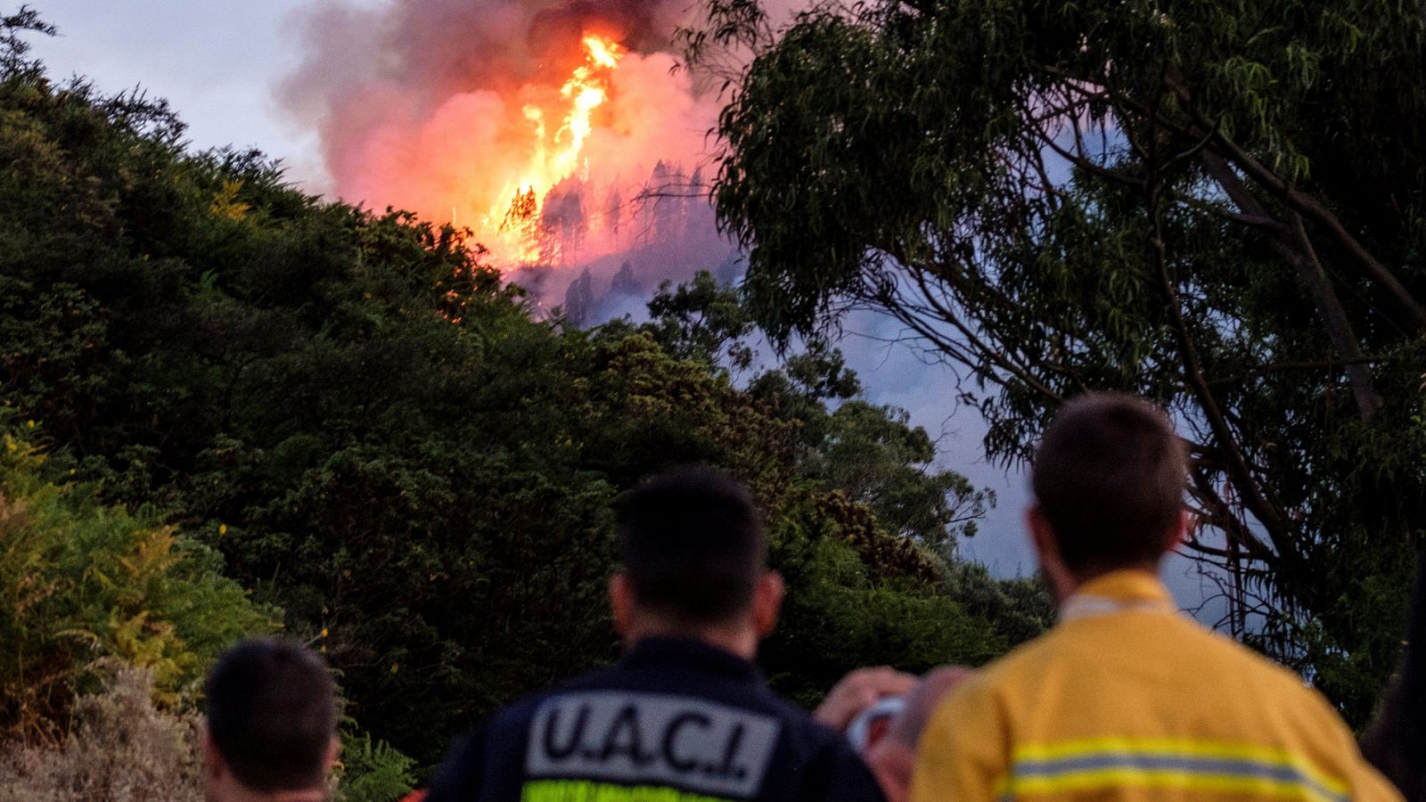 Telediario 1: Los bomberos declaran incontrolable el incendio de Gran Canaria: "No hay capacidad" | RTVE Play