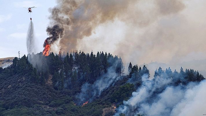 Telediario 1 - El fuego de Gran Canaria causa una "catástrofe ambiental" sin precedentes