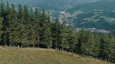 T7 - Especial Ehunmilak