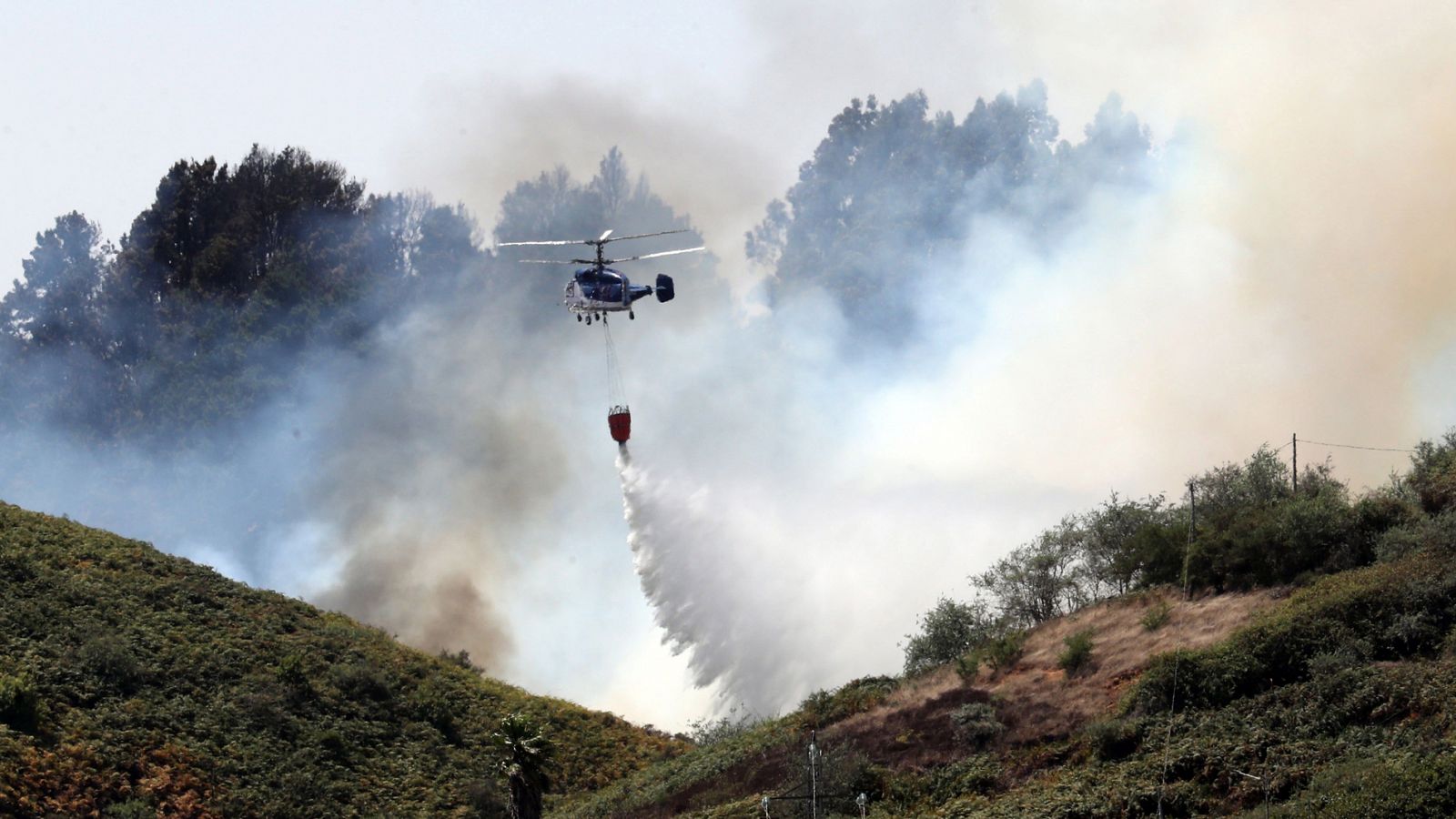 Telediario 1: El incendio "incontrolable" en Gran Canaria, un desastre sin precedentes | RTVE Play