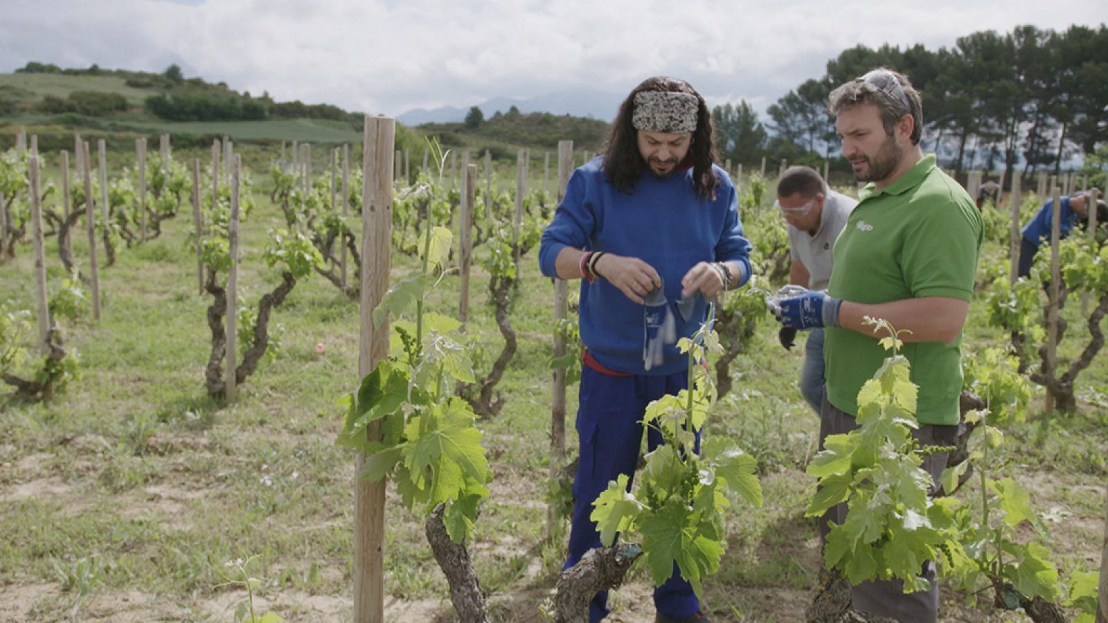 Trabajo temporal - Lorena, Soraya y El Arrebato - ver ahora