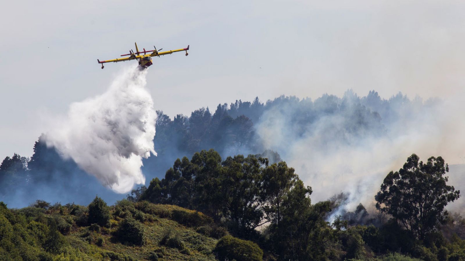 El presidente de Canarias, Ángel Víctor Torres, ha anunciado este martes que el incendio que asuela la isla de Gran Canaria desde el sábado "remite" y "pierde potencial". Lo ha hecho a través de su cuenta de Twitter, donde ha manifestado que "a punto