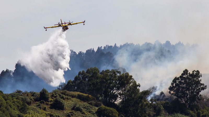 El presidente de Canarias, Ángel Víctor Torres, ha anunciado este martes que el incendio que asuela la isla de Gran Canaria desde el sábado "remite" y "pierde potencial". Lo ha hecho a través de su cuenta de Twitter, donde ha manifestado que "a punto