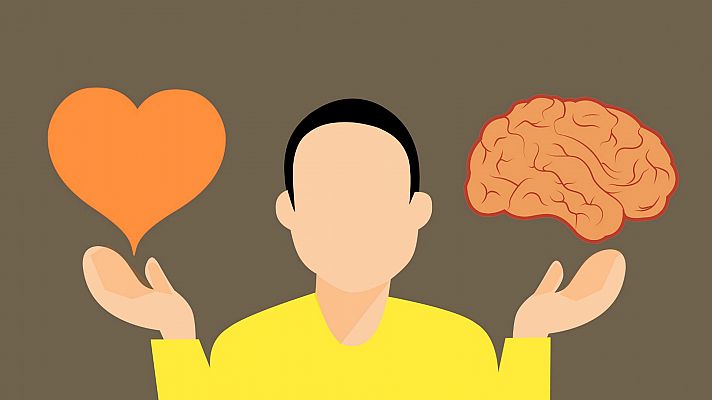¿En qué parte del cerebro se toman decisiones morales?
