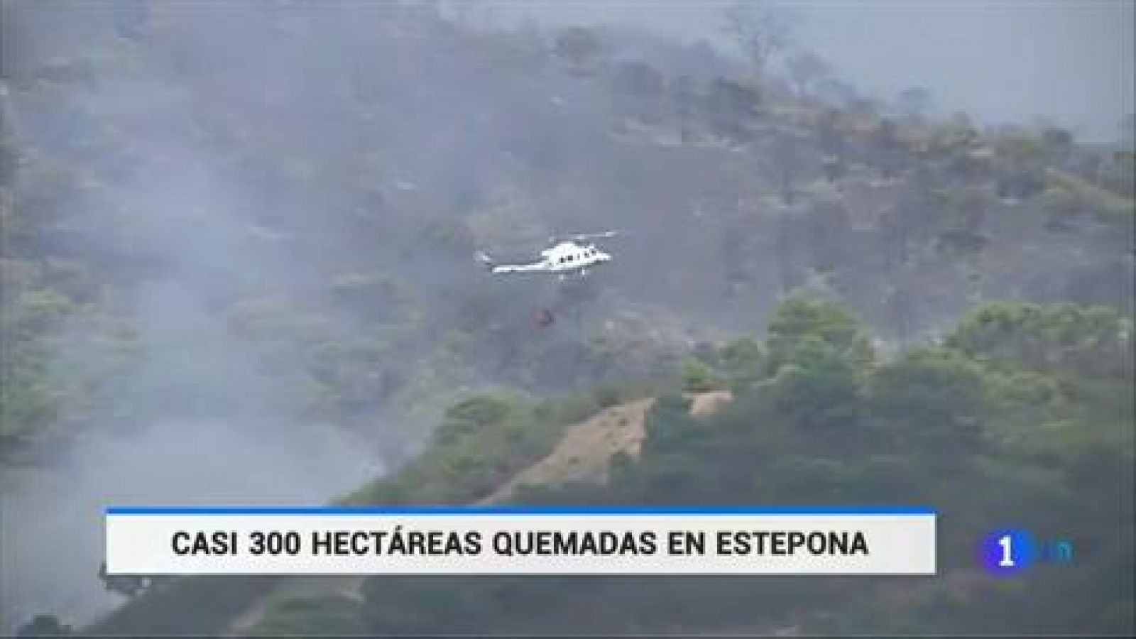 Telediario 1: El incendio de Estepona obliga a desalojar 300 viviendas | RTVE Play