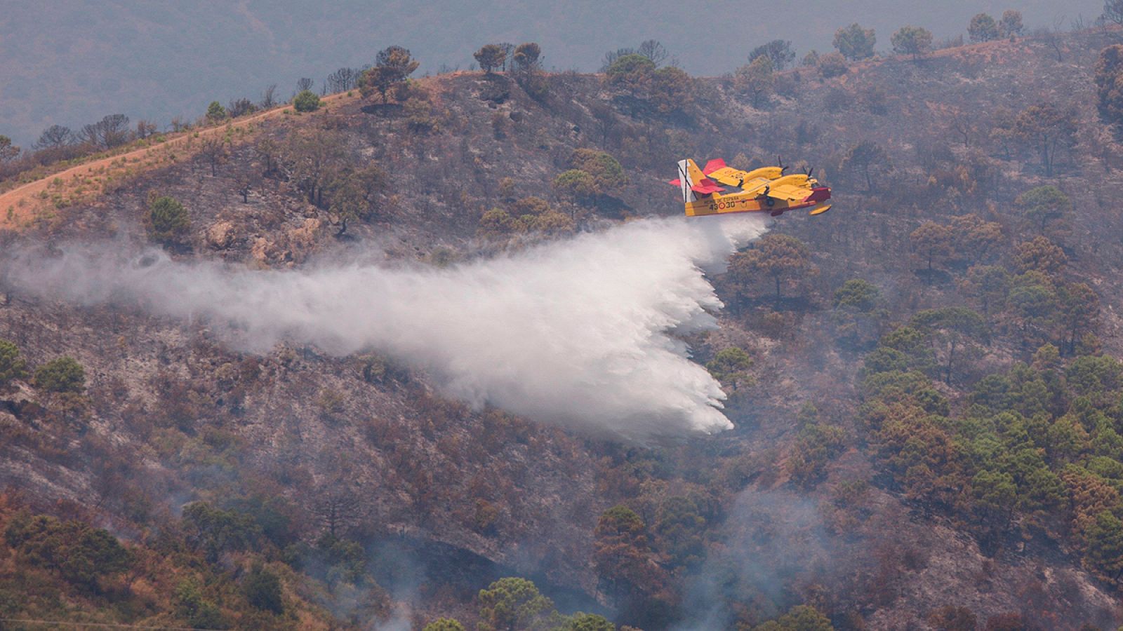El incendio de Estepona obliga a desalojar 300 viviendas