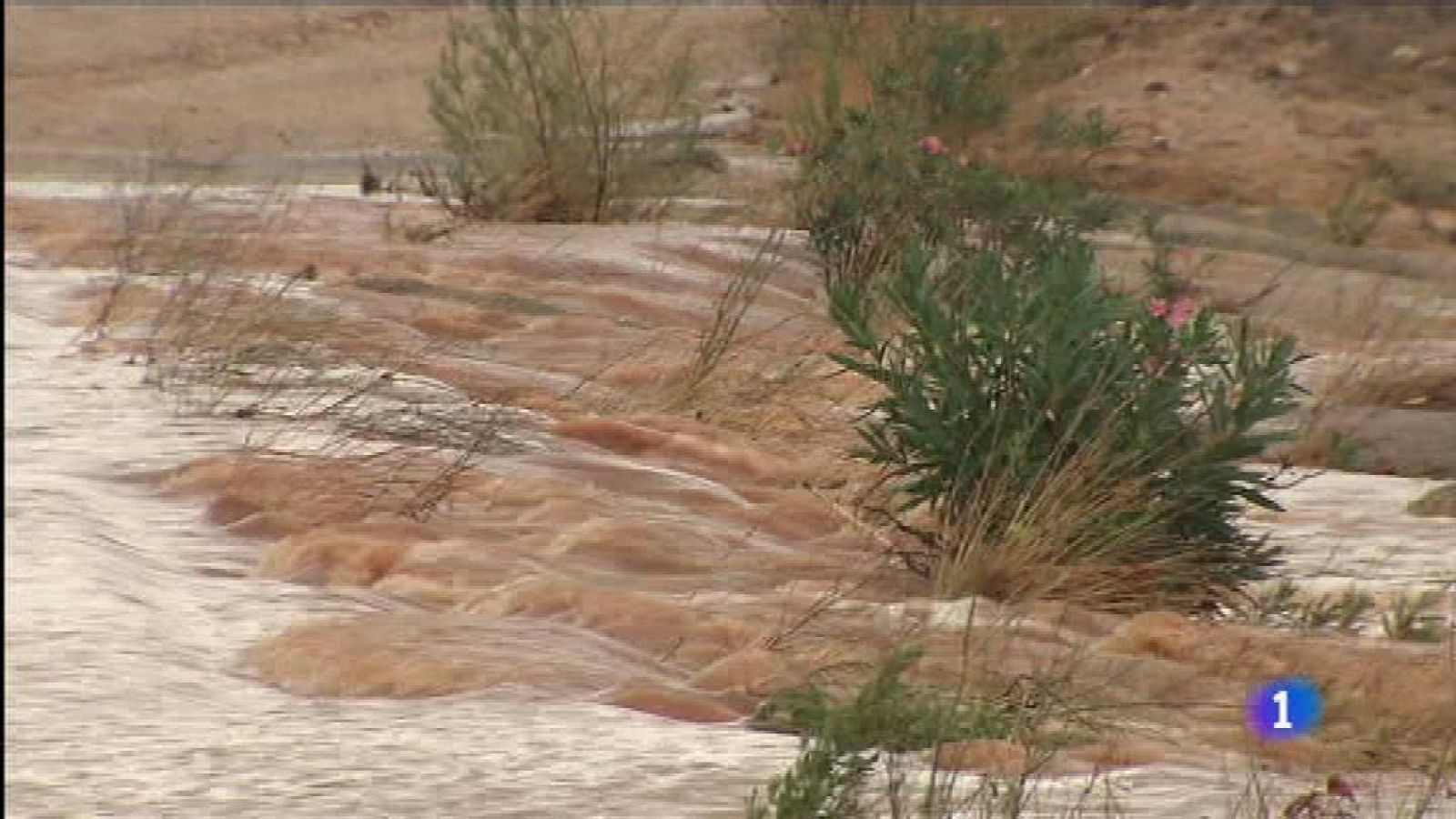 L'Informatiu - Comunitat Valenciana 2 - 20/08/19 - ver ahora