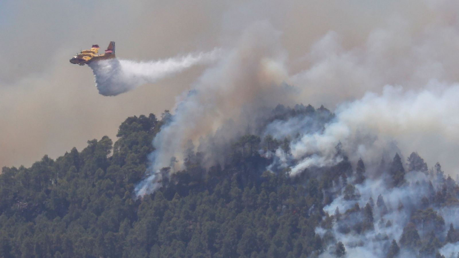 Telediario 1: Remite el incendio en Gran Canaria | RTVE Play