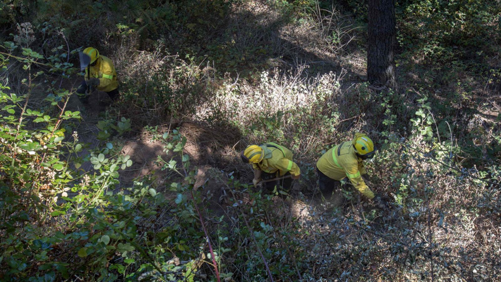 El incendio de Gran Canaria, a punto de quedar estabilizado